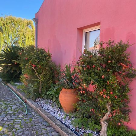 Casa Das Jardas Idanha-a-Nova Luaran gambar